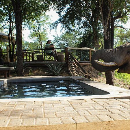 Kingly Conservation Camp Phalaborwa Exterior foto