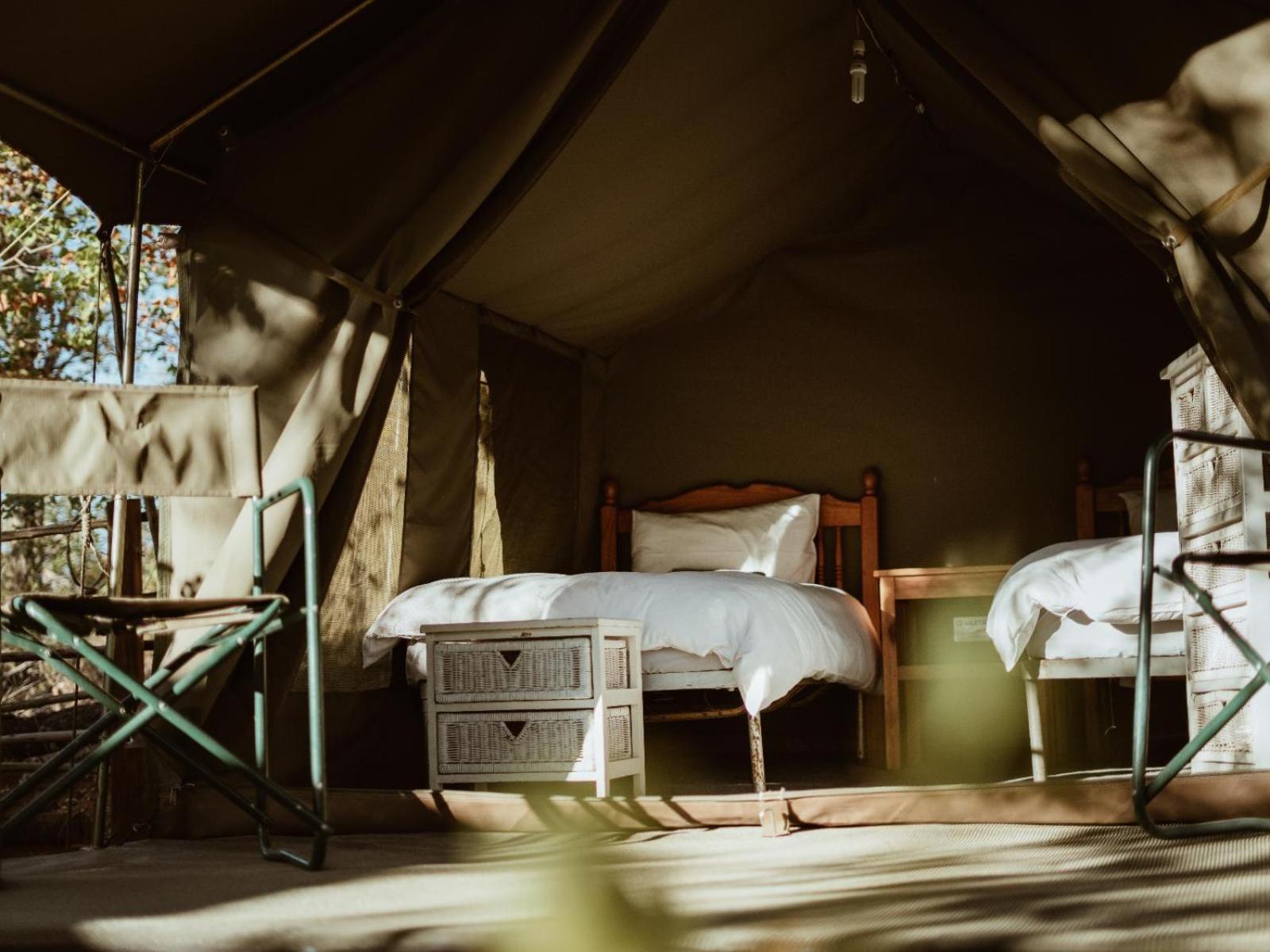 Kingly Conservation Camp Phalaborwa Quarto foto