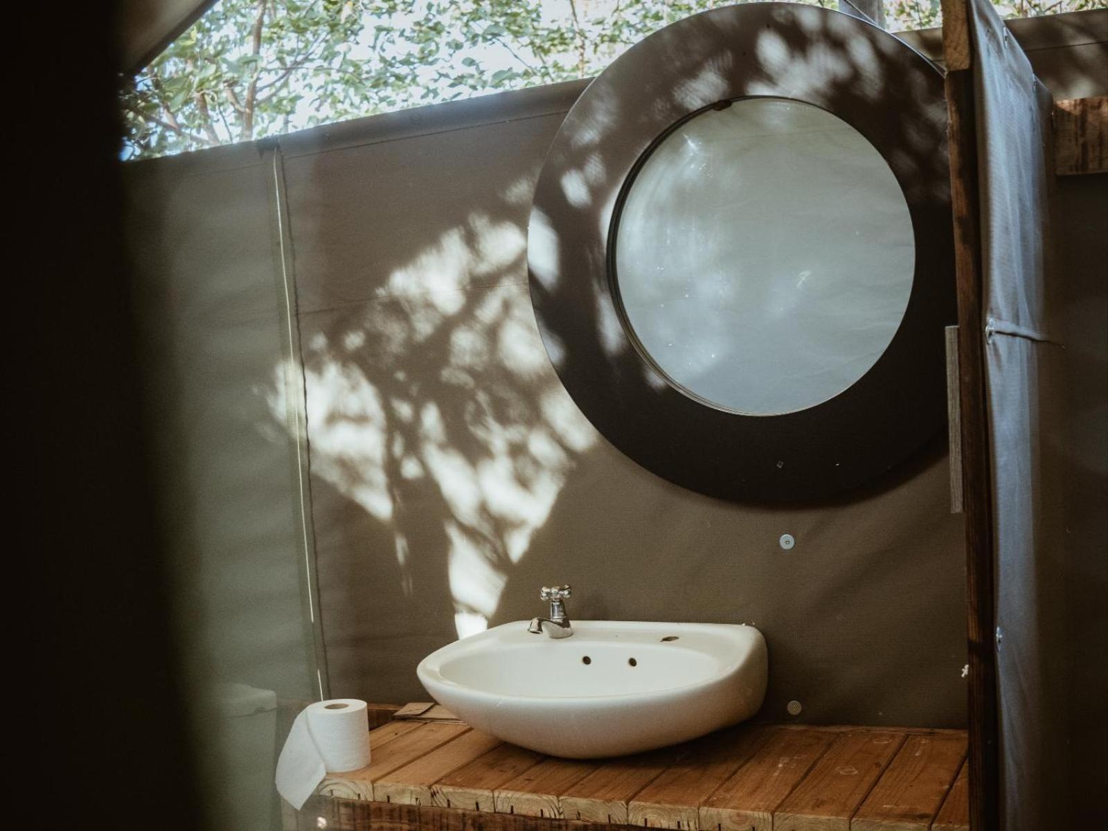 Kingly Conservation Camp Phalaborwa Quarto foto