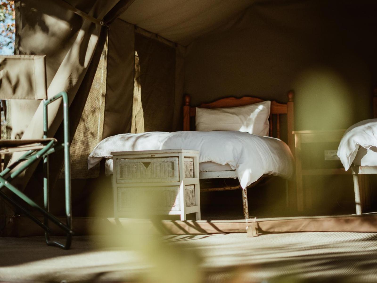 Kingly Conservation Camp Phalaborwa Quarto foto