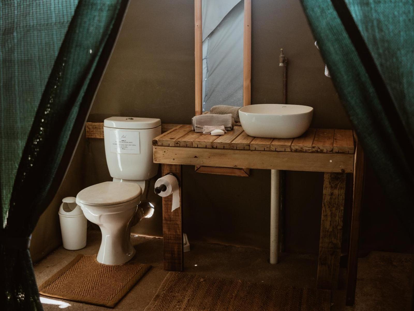 Kingly Conservation Camp Phalaborwa Quarto foto