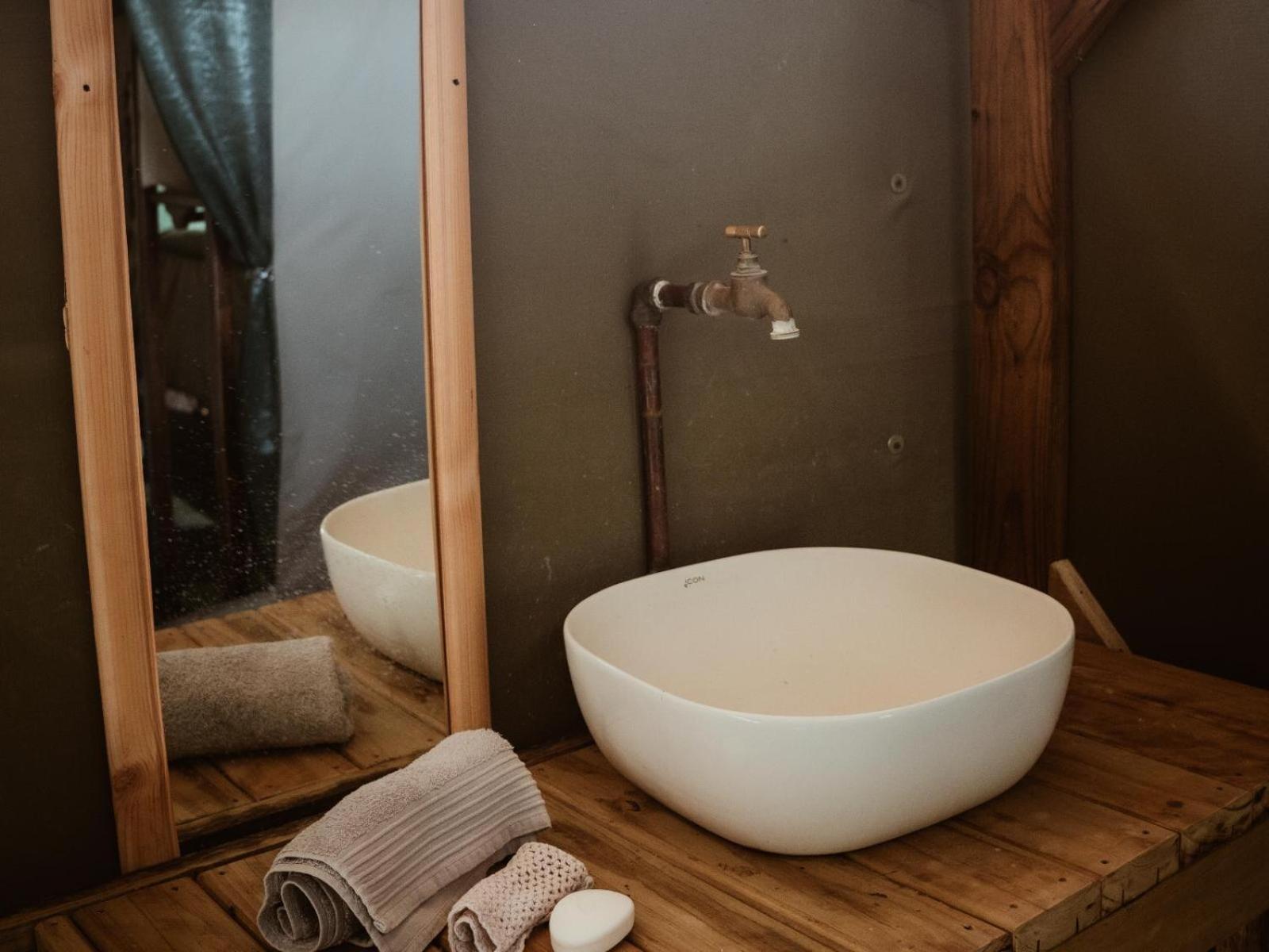Kingly Conservation Camp Phalaborwa Quarto foto
