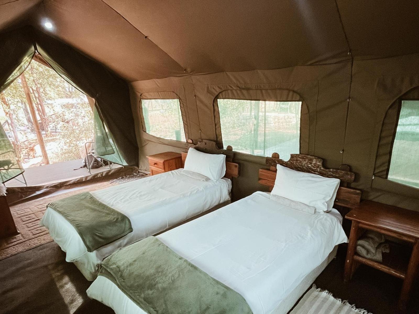 Kingly Conservation Camp Phalaborwa Quarto foto