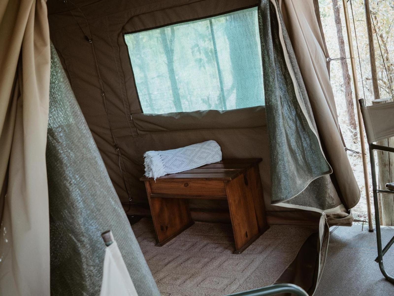 Kingly Conservation Camp Phalaborwa Quarto foto