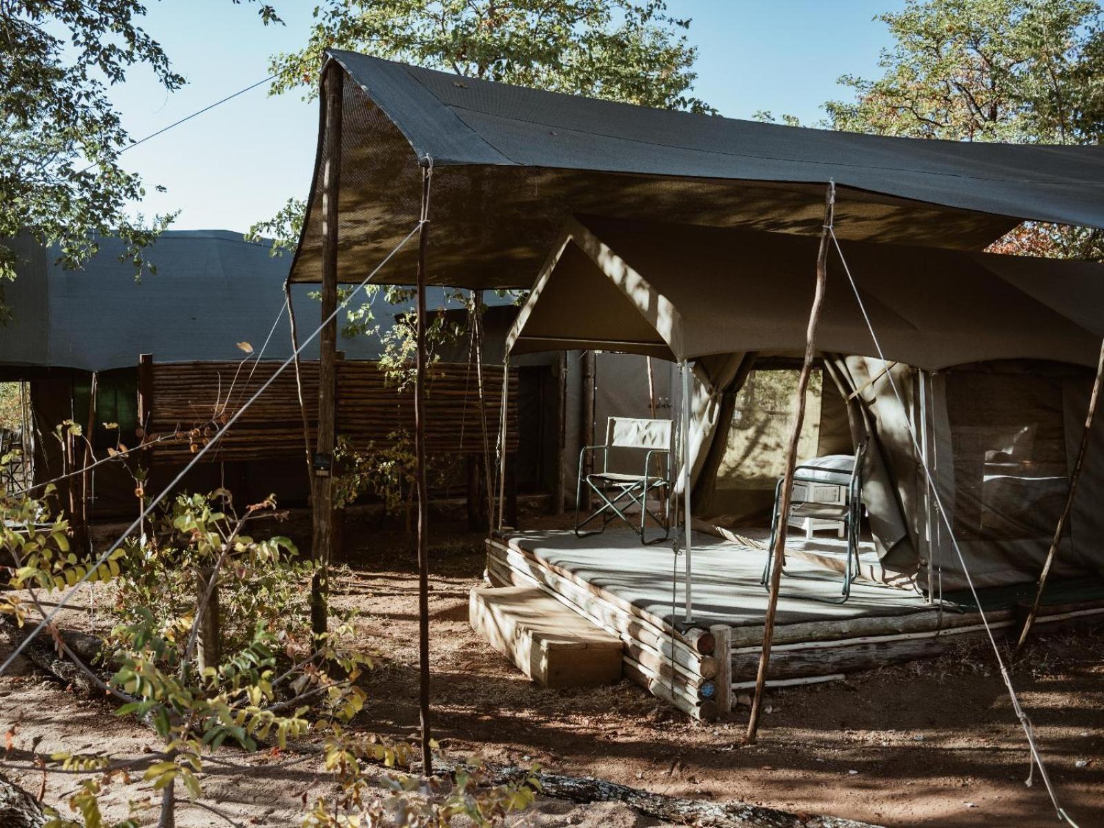 Kingly Conservation Camp Phalaborwa Quarto foto