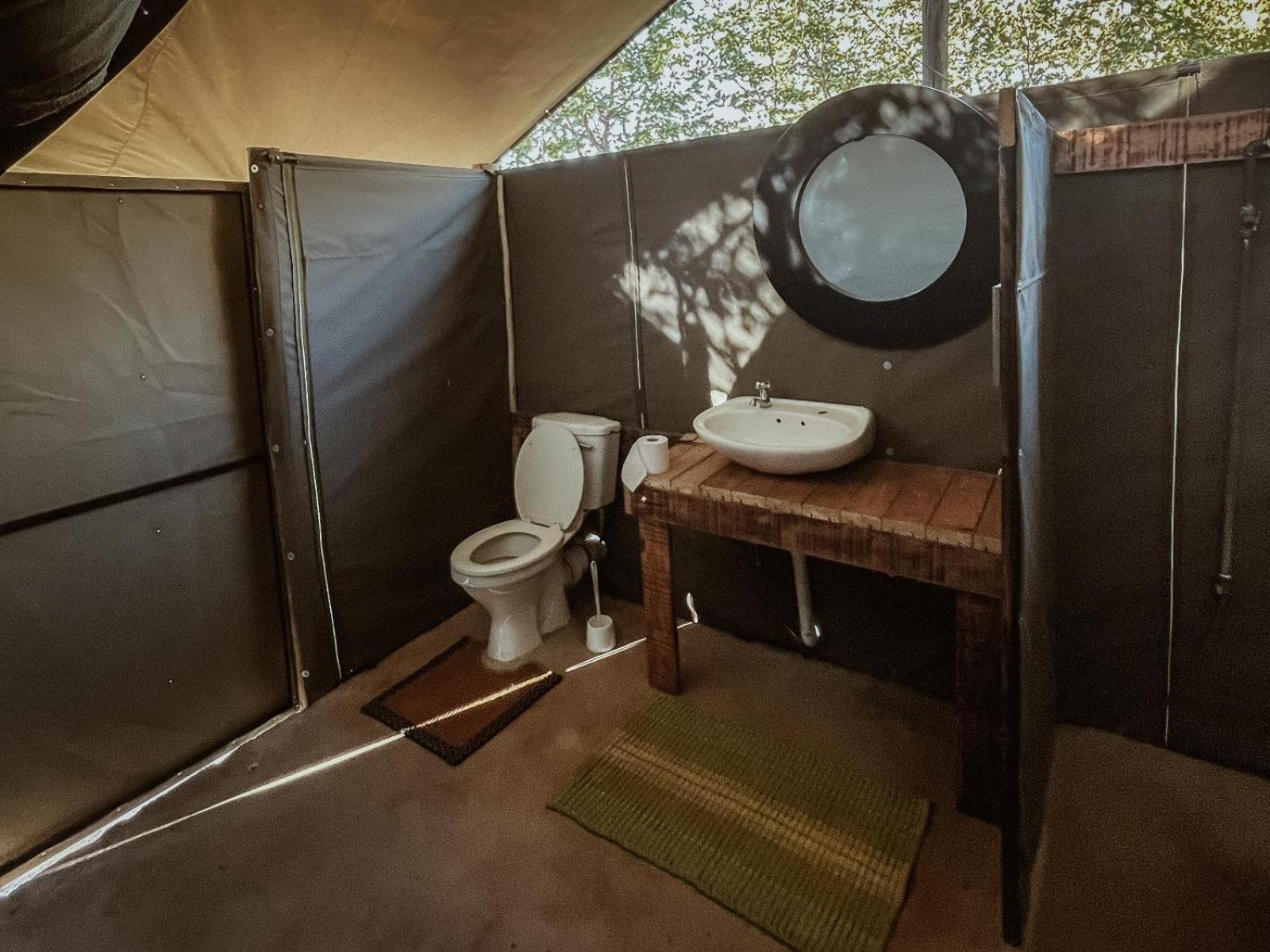 Kingly Conservation Camp Phalaborwa Quarto foto
