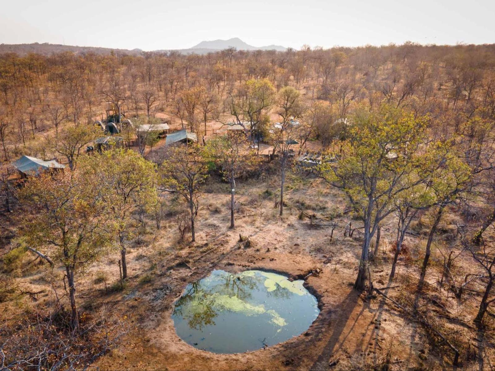 Kingly Conservation Camp Phalaborwa Exterior foto