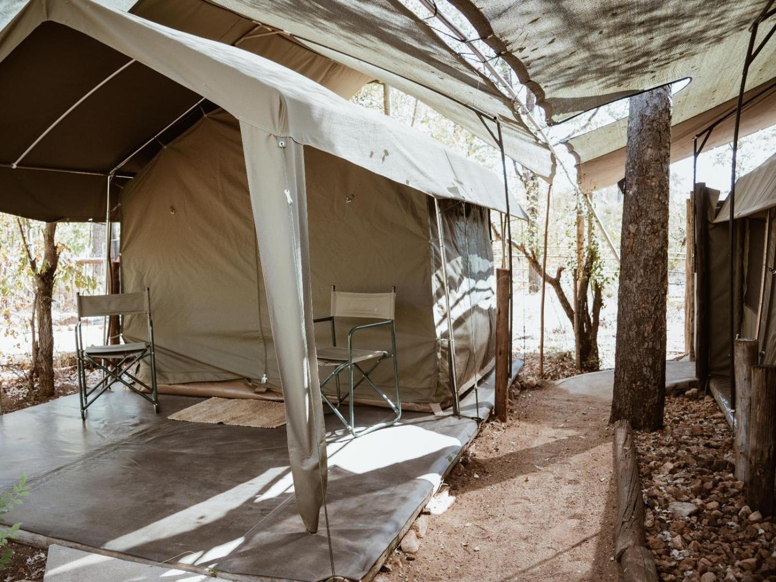 Kingly Conservation Camp Phalaborwa Quarto foto