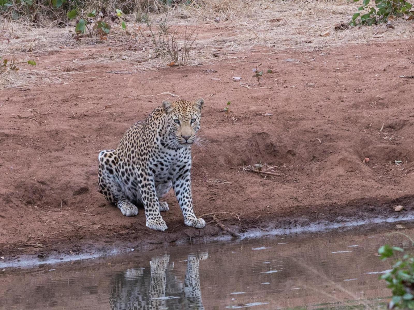 Kingly Conservation Camp Phalaborwa Exterior foto