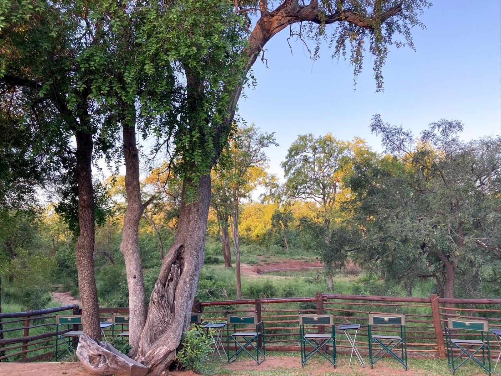 Kingly Conservation Camp Phalaborwa Exterior foto