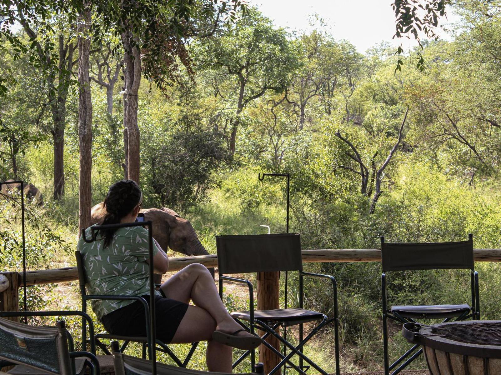 Kingly Conservation Camp Phalaborwa Exterior foto