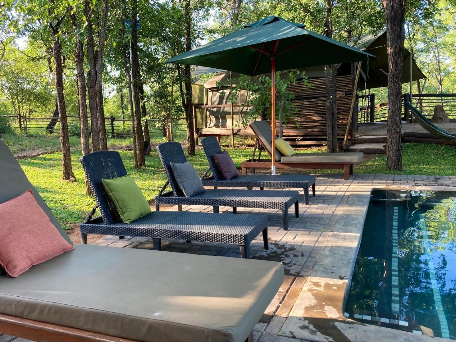 Kingly Conservation Camp Phalaborwa Exterior foto