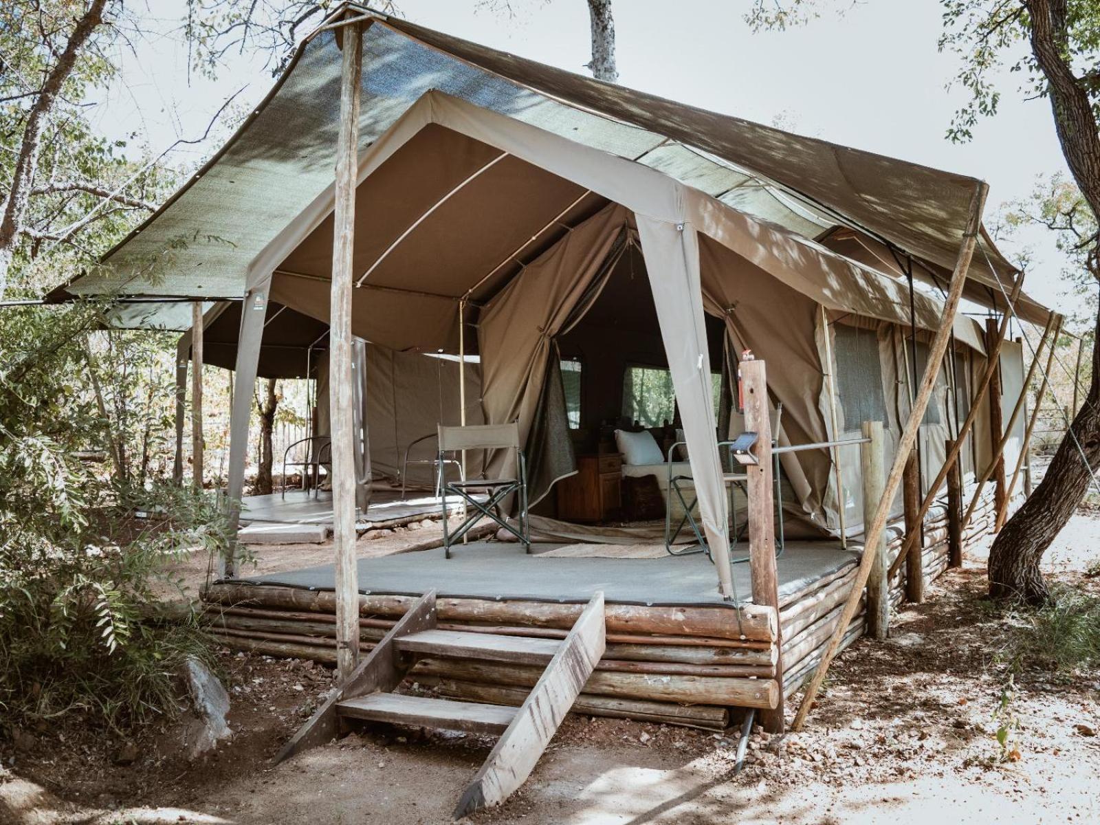 Kingly Conservation Camp Phalaborwa Quarto foto